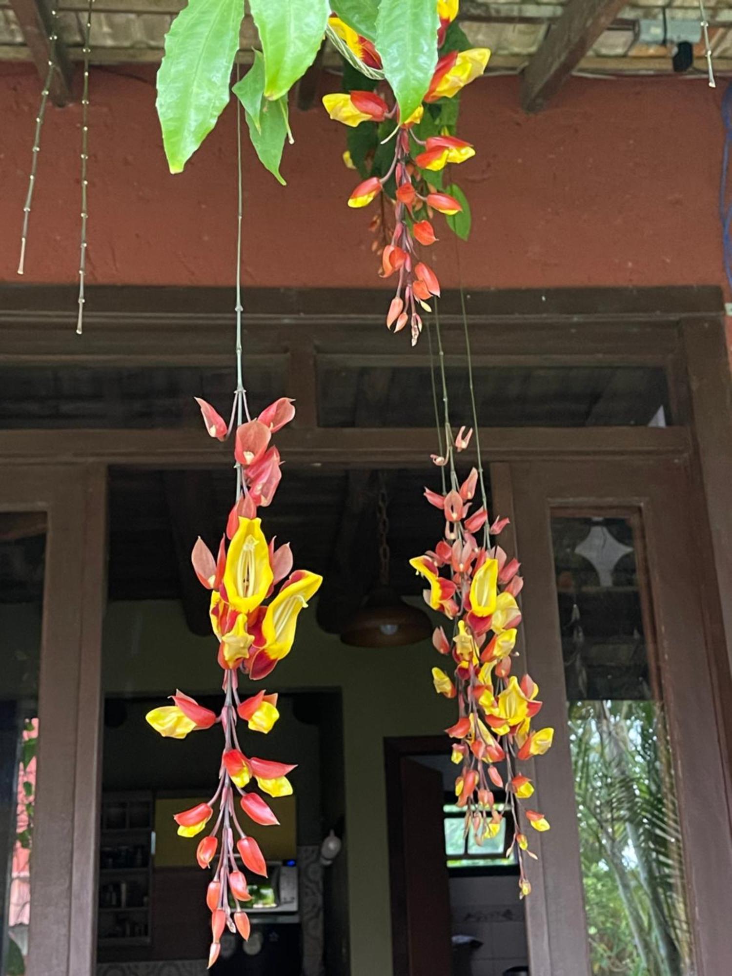 Casa de Férias Lindo Sobrado No Paraíso